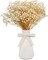 Dried Babys Breath Bulk Natural Dried Gypsophila Flowers White Babys Breath Stems for Home Decor, Weddings, Crafts